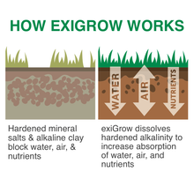 Load image into Gallery viewer, exiGrow Alkaline Soil Repair