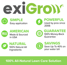 Load image into Gallery viewer, exiGrow Alkaline Soil Repair