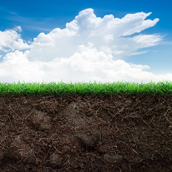 The Secret of Soil Science for Healthy Lawns & Gardens