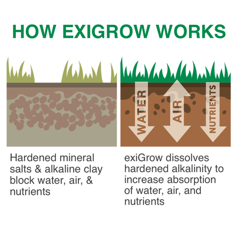 exiGrow Alkaline Soil Repair